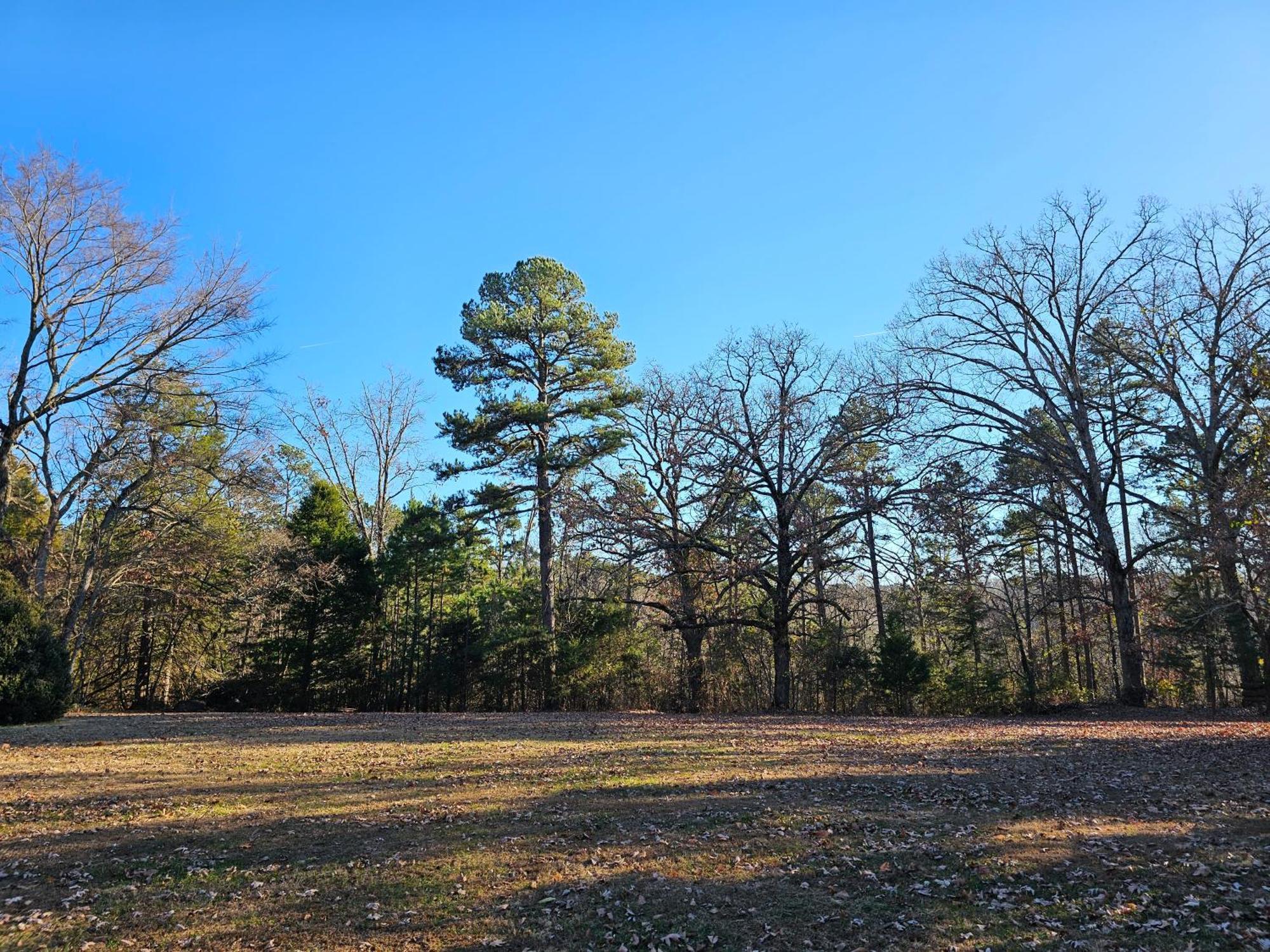 5 Min To Beaver Lake-King Bed-Fire Pit-Jetted Tub #3 Eureka Springs Exterior foto